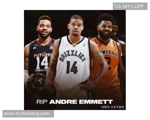 又到了该科研NBA杯的时分了